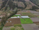 dji 20250602131933 d