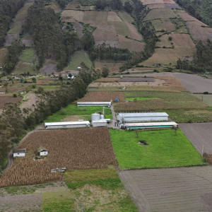 dji 20250602131933 d