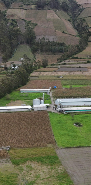 dji 20250602131933 d