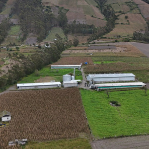 dji 20250602131944 d dji 20250602131944 d