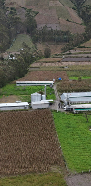 dji 20250602131944 d