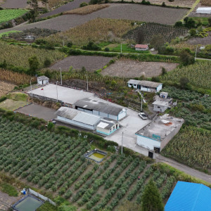 dji 20250602132408 d