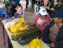 img 20250309