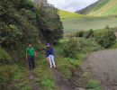img 20250203