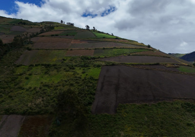 Producción Agricola 
