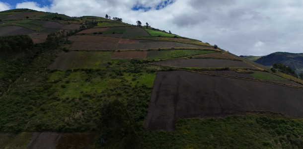 dji 20250602112603 d