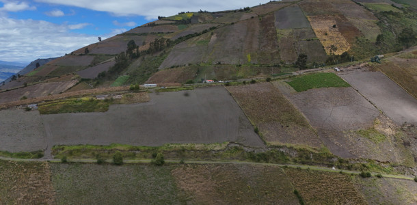 dji 20250602112622 d