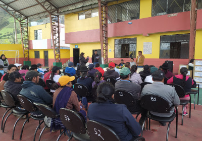 PROYECTO INSUMOS AGRICOLAS MAG