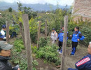 img 20250328
