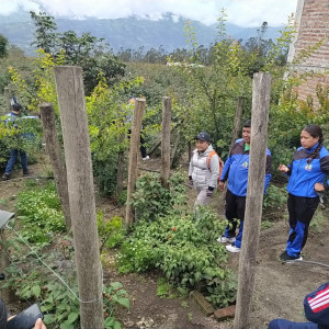 img 20250328